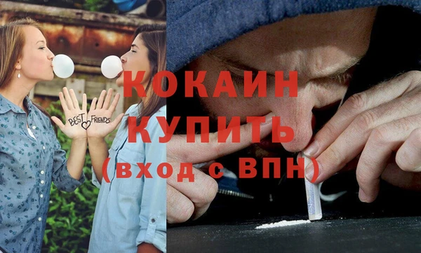индика Куйбышев