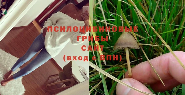 шишки Балабаново