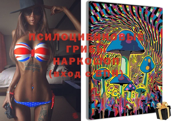 эйфоретик Балахна