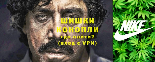 шишки Балабаново