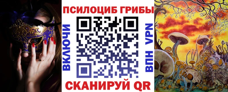 Галлюциногенные грибы Cubensis  Горячий Ключ 